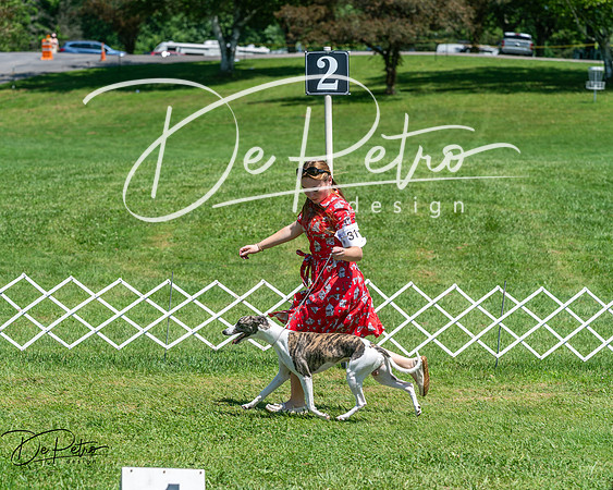 20250629-DSC09460