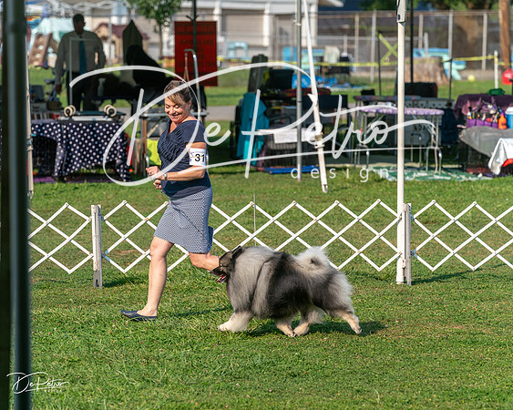 20240913-DSC00080