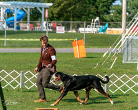 20240913-DSC00003
