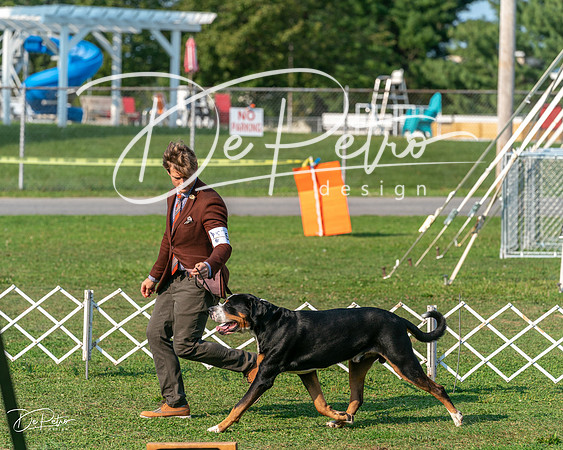 20240913-DSC00003