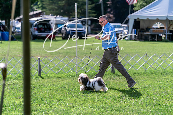 20240630-DSC05147