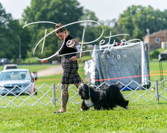 20240816-DSC00864