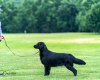 20250627-DSC06845
