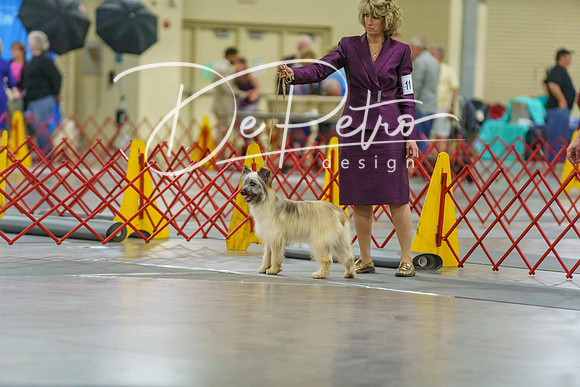 20190330-DSC01646