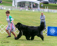 20250626-DSC04160
