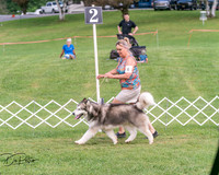 20250628-DSC08077