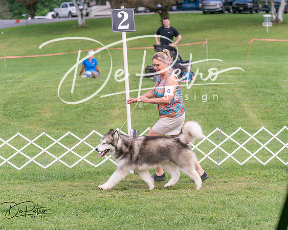 20250628-DSC08077