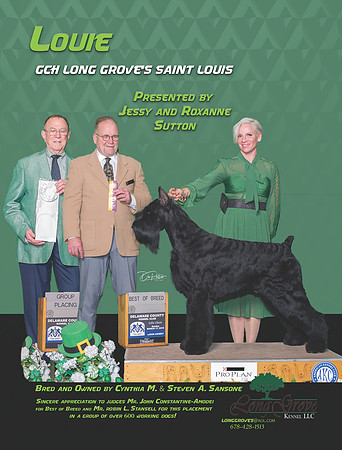 Louie dn 322