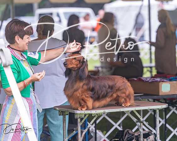 20250626-DSC04629