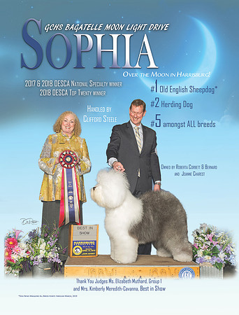 Sophia 42919