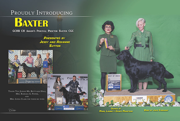 baxter intro 2