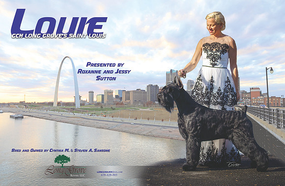 Louie Chronicle may 19