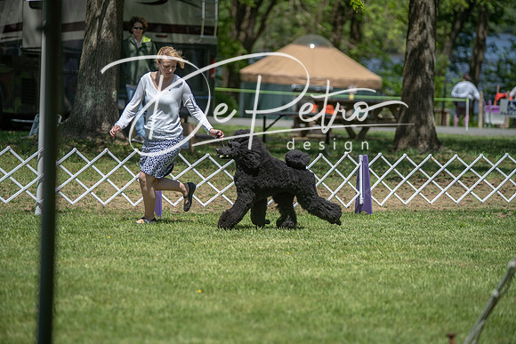 20190427-DSC08840