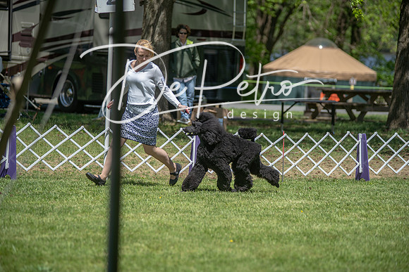 20190427-DSC08842