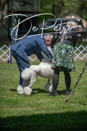 20190427-DSC08866