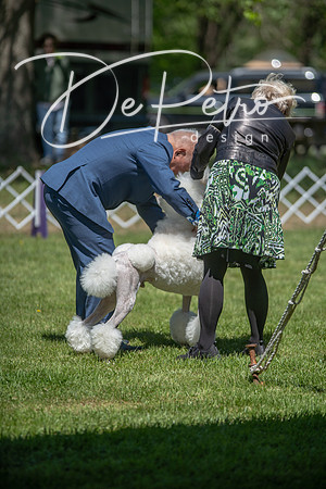 20190427-DSC08865