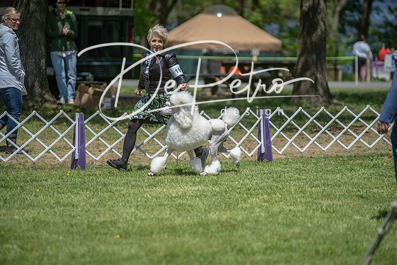 20190427-DSC08867
