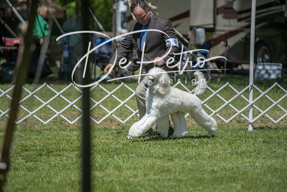 20190427-DSC08898