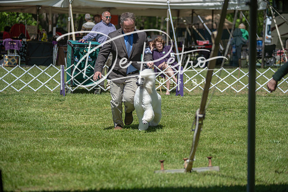 20190427-DSC08902