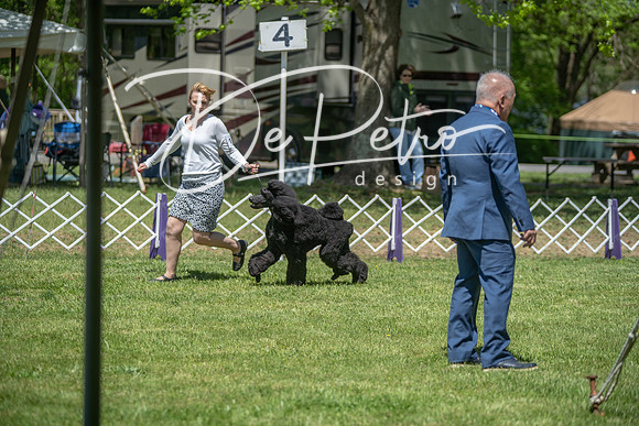 20190427-DSC08917