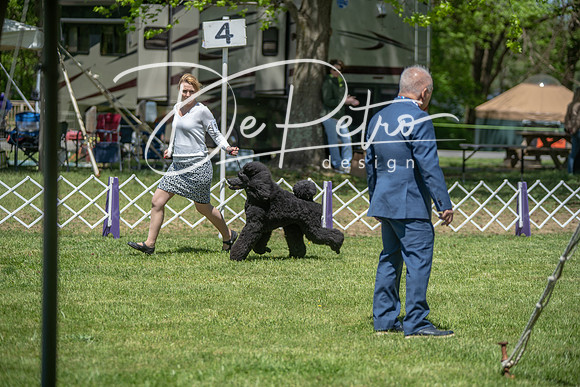 20190427-DSC08916