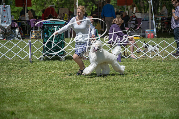 20190427-DSC08930