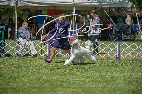 20190427-DSC08931