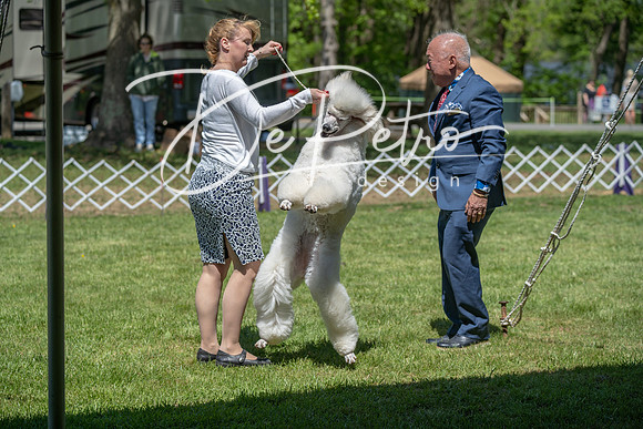 20190427-DSC08948