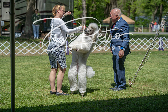 20190427-DSC08947
