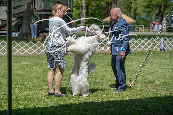 20190427-DSC08945