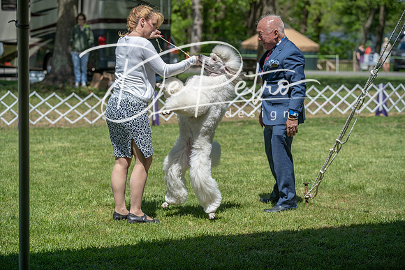 20190427-DSC08944