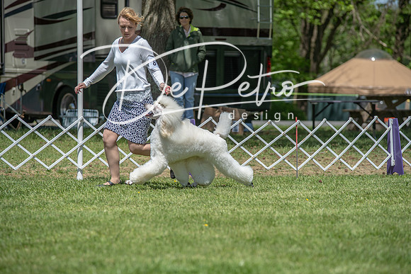 20190427-DSC08952