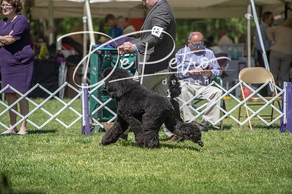 20190427-DSC08973