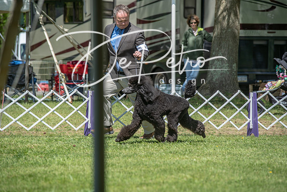 20190427-DSC08978