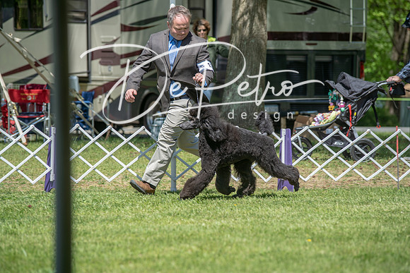 20190427-DSC08976