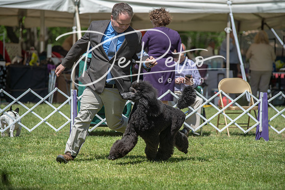 20190427-DSC08984