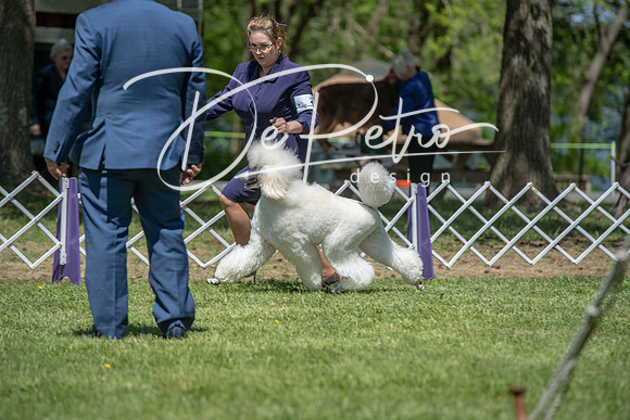 20190427-DSC08993