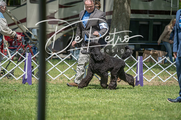 20190427-DSC09006