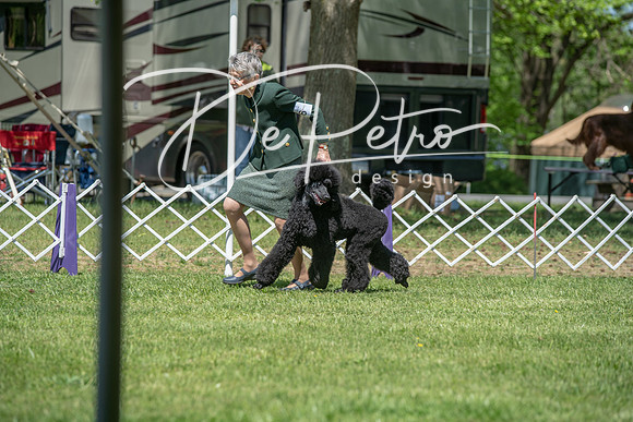 20190427-DSC09014