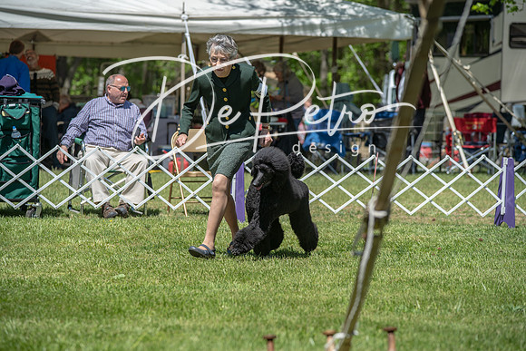 20190427-DSC09018