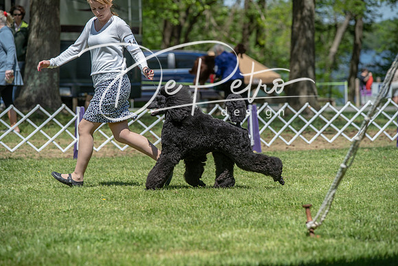 20190427-DSC09040