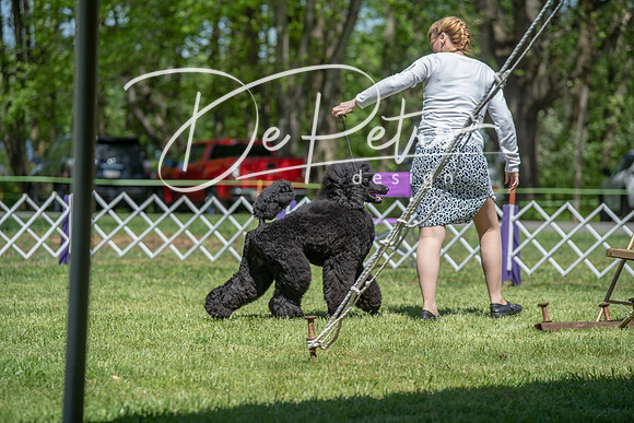 20190427-DSC09050