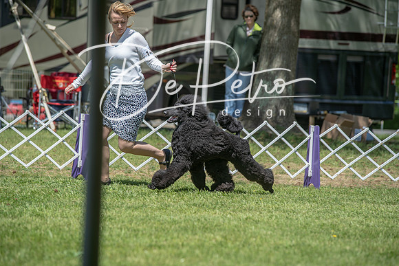 20190427-DSC09060