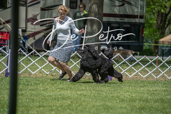 20190427-DSC09058