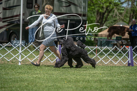 20190427-DSC09056