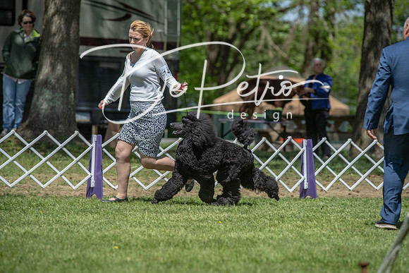 20190427-DSC09054
