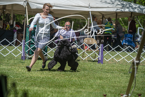 20190427-DSC09068