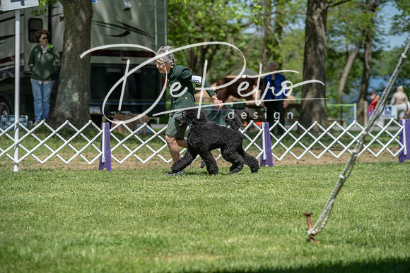 20190427-DSC09076