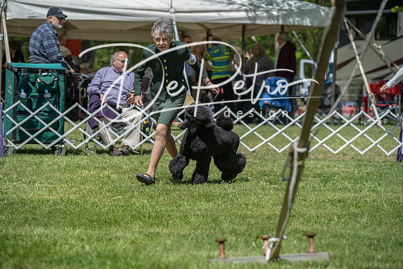 20190427-DSC09082