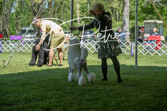 20190427-DSC09099